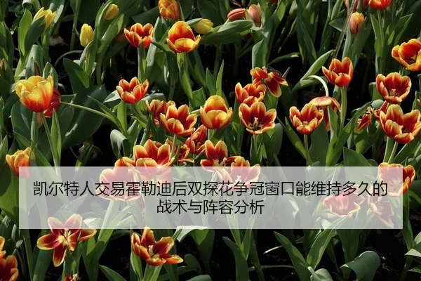 凯尔特人交易霍勒迪后双探花争冠窗口能维持多久的战术与阵容分析